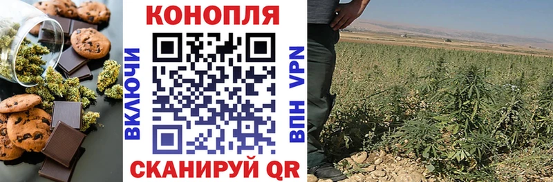 купить Новодвинск Cannafood конопля