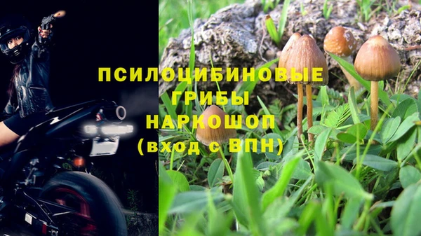 соль ск Пестово