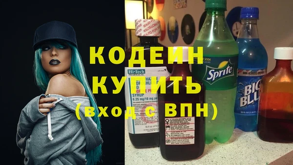 соль ск Пестово
