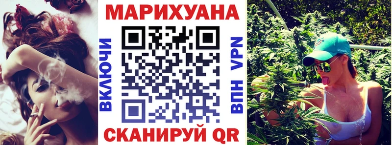 Каннабис сатива купить закладку Новодвинск